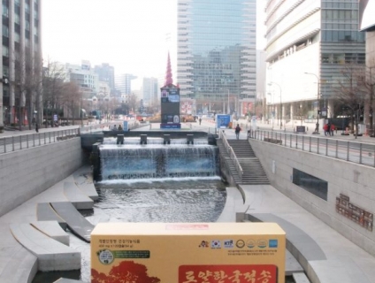 Tìm hiểu về cách sử dụng tinh dầu thông đỏ của Hàn Quốc