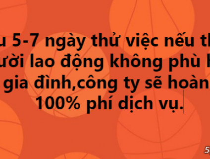 GIÚP VIỆC SAO MAI