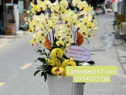 DỊCH VỤ ĐIỆN HOA SÀI GÒN 247 chuyên LAN HỒ ĐIỆP cao cấp TPHCM