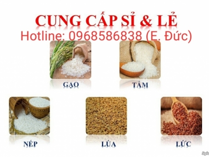 Cung cấp gạo sạch thơm ngon