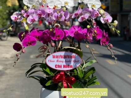 Shop Hoa tươi online 247 Sài Gòn chuyên LAN HỒ ĐIỆP cao cấp 0934013738