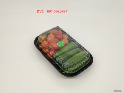 Hộp Nhựa HT17 Dùng Bán Mang Về Gía Sỉ Bình Dương