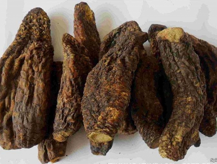 Cao khô nhục thung dung - Khám phá sức mạnh tự nhiên!