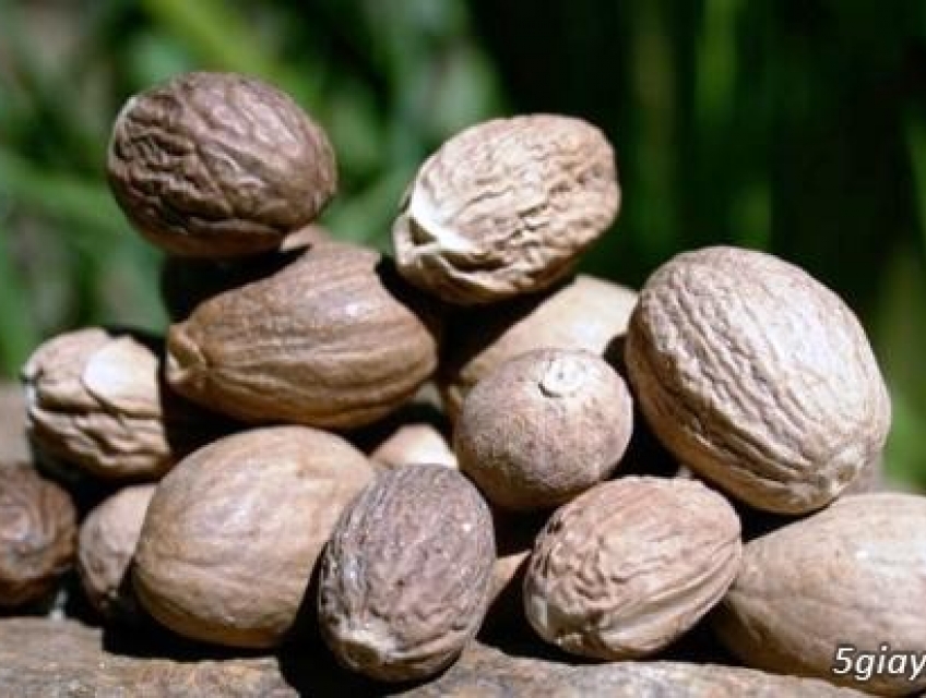 Cao khô nhục đậu khấu - Đỉnh cao chăm sóc sức khỏe từ thiên nhiên!