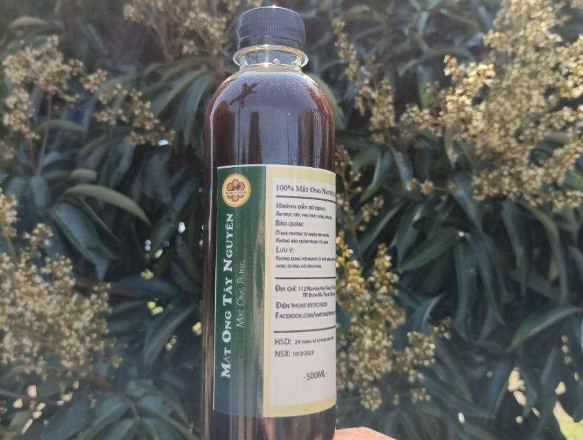 MẬT ONG RỪNG – MẬT ONG KHOÁI