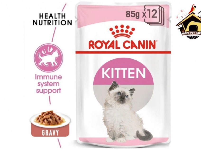 Top sản phẩm bán chạy nhất đầu tháng 6 Happypethaven