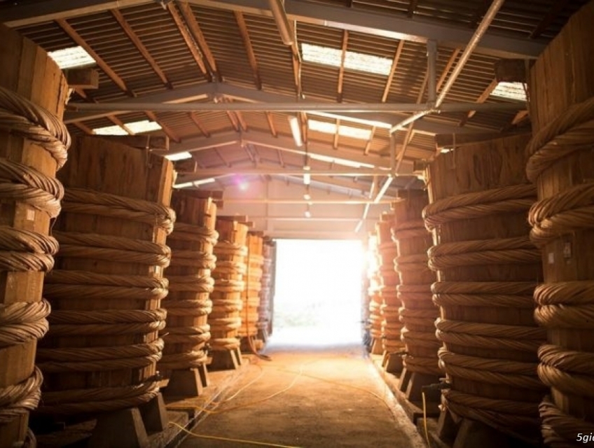 TOUR THAM QUAN NAM ĐẢO ( 6 ĐIỂM )