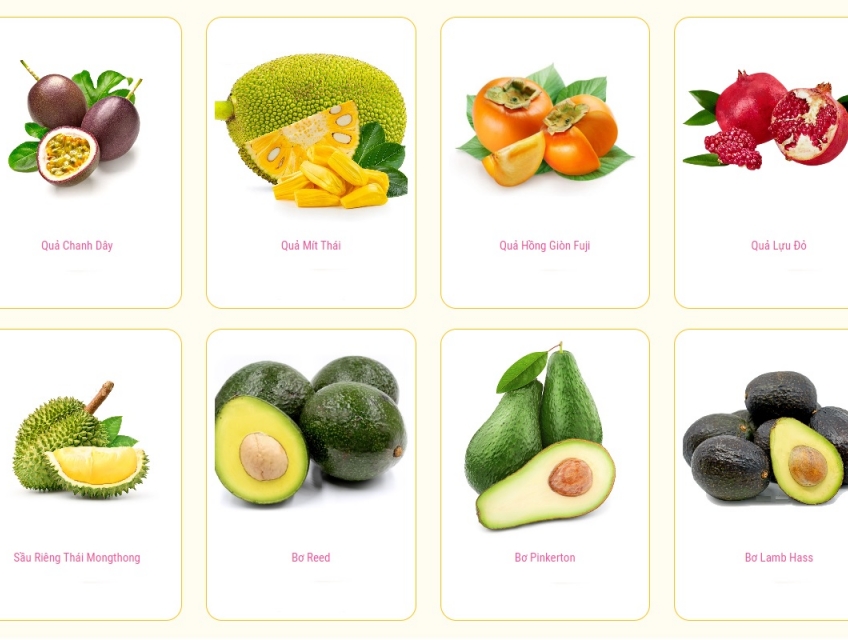 Địa chỉ bán và xuất khẩu trái cây giá rẻ