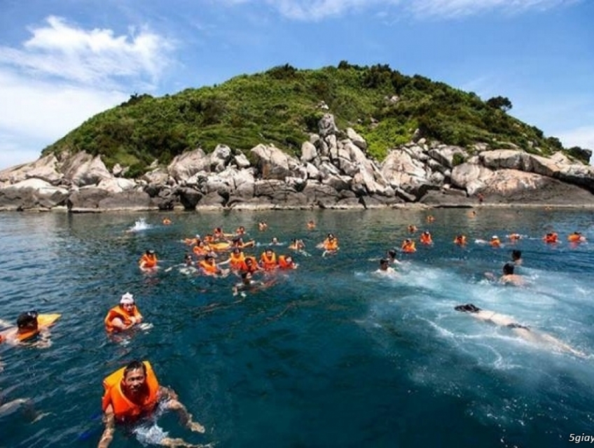 Kinh nghiệm khi tham gia tour Cù Lao Chàm 1 ngày