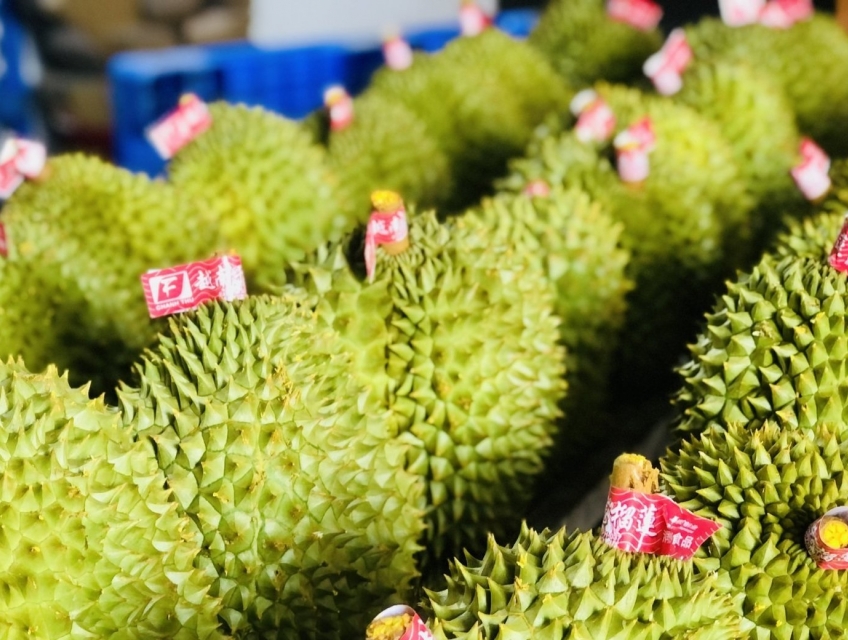 Bán sầu riêng chất lượng giá rẻ