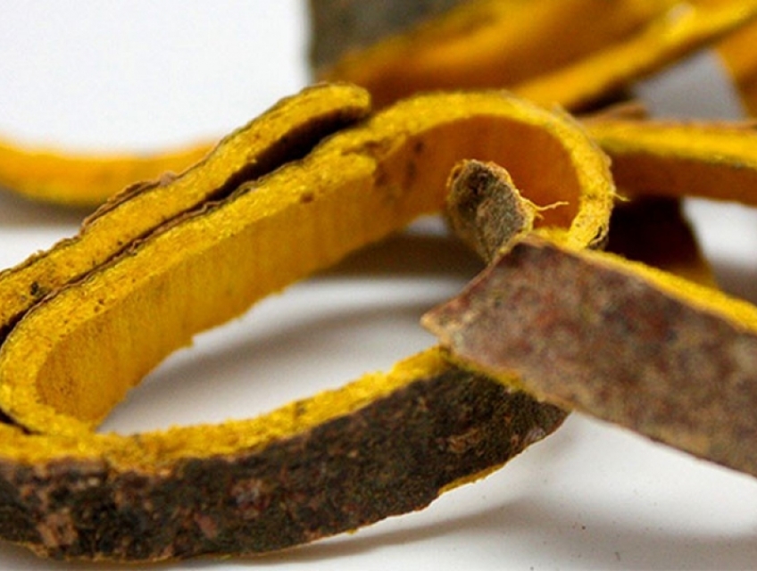 Khám phá tác dụng tuyệt vời của Cao Khô Núc Nác từ Biogreen!