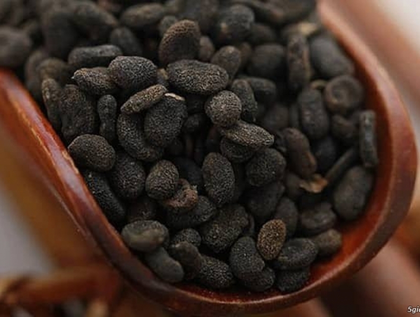 Khám phá lợi ích của Cao Khô Phá Cố Chỉ từ Biogreen!