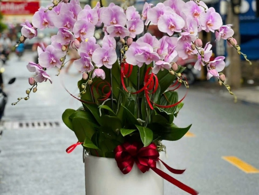 Dịch Vụ Hoa Tươi Uy Tín 247 Sài Gòn - Hoa Lan Hồ Điệp Cao Cấp TPHCM