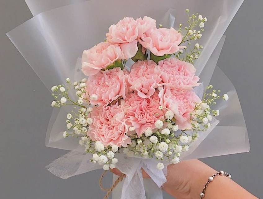 Tặng bó hoa cẩm chướng dạng dài vào dịp nào?