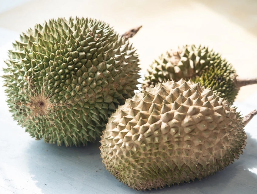 Nơi bán sầu riêng Black Thorn chất lượng giá rẻ