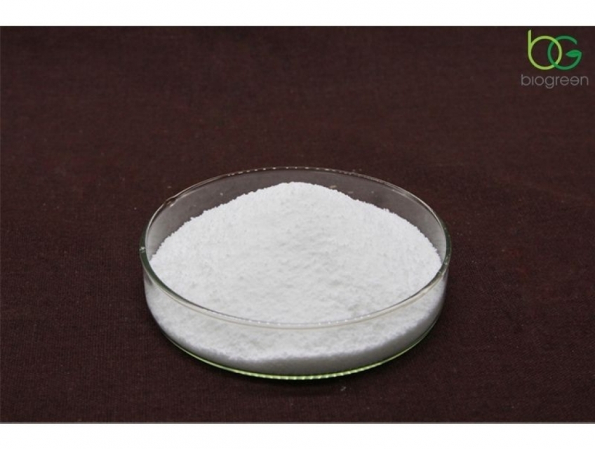 Amylase - Sức mạnh tiêu hóa và sự hoàn hảo cho cuộc sống!