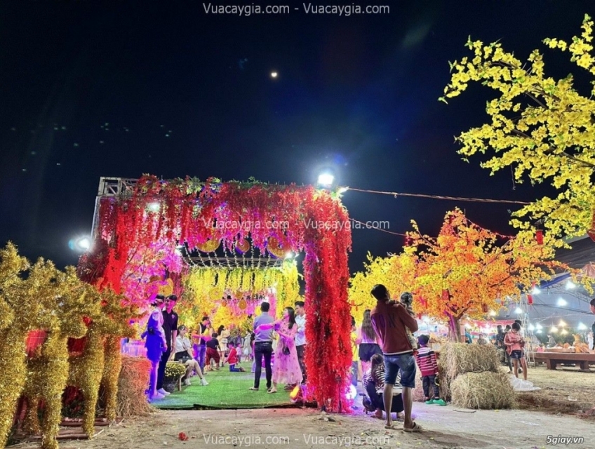 Cho thuê cây hoa mai giả giá rẻ nhất Hà Nội