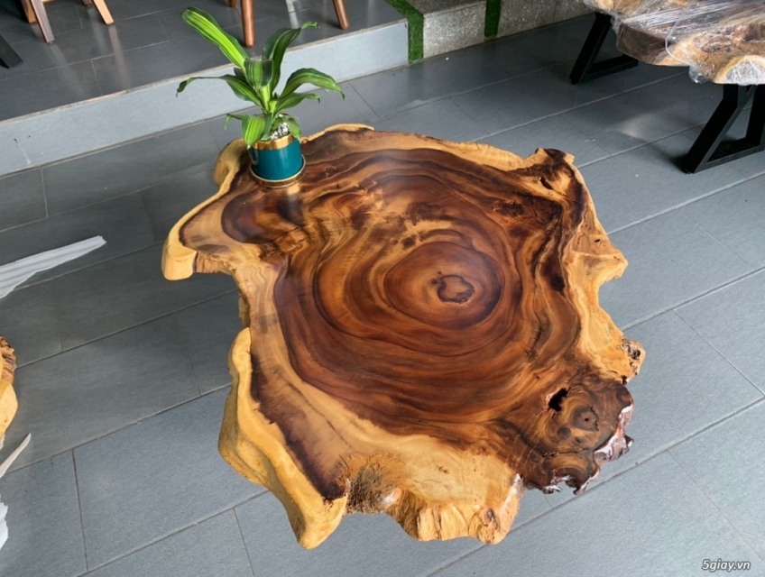 Bàn Trà, Bàn Cafe Sân Vườn