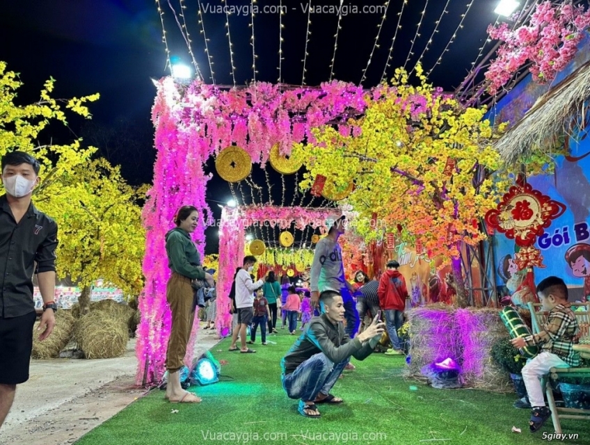 Cho thuê cây hoa mai vàng giả tại TPHCM