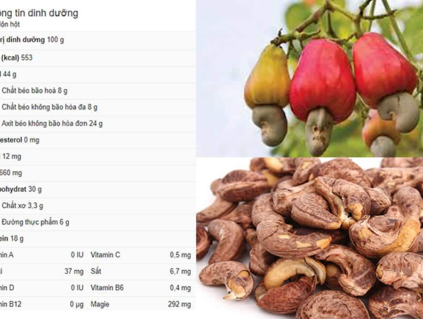 10 Tác dụng của hạt điều cực tốt cho sức khỏe