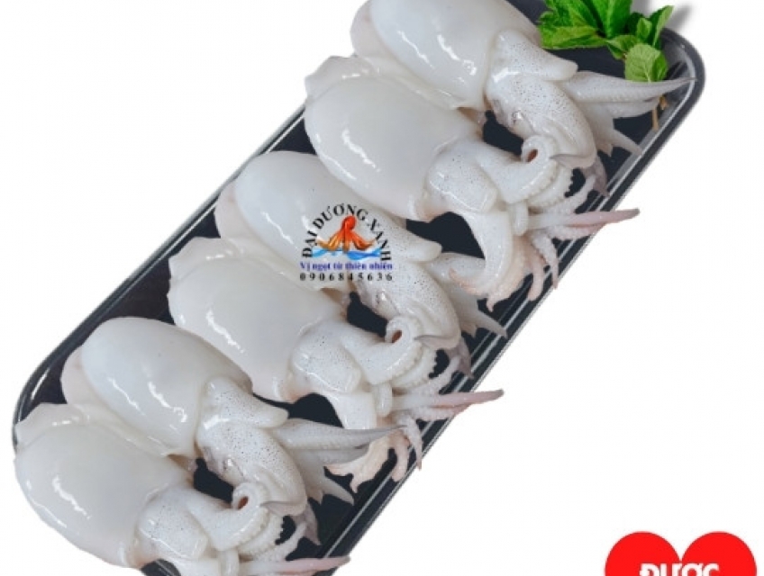 Mua mực nang sữa giá tốt tại Tp Hồ Chí Minh