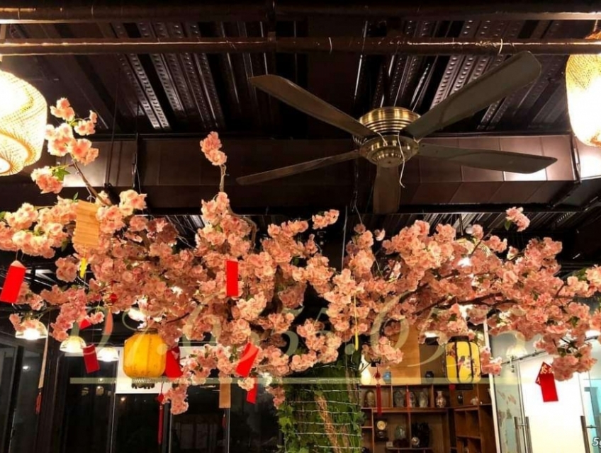 Cho thuê cây hoa anh đào trắng giả