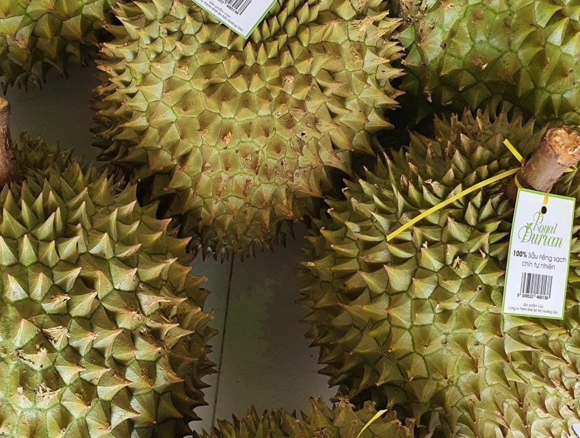 Nơi mua sầu riêng an toàn chất lượng