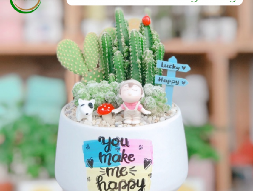 Những mẫu tiểu cảnh mini để bàn “nhỏ nhưng có võ”