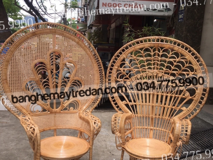 Ghế mây đuôi công chụp hình studio