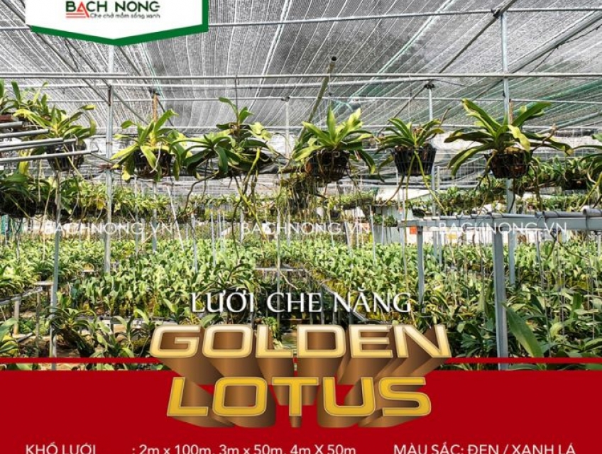 Lưới che nắng Thái Lan