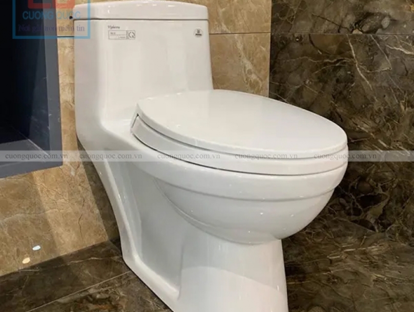 Bồn cầu két liền Viglacera BL5V - Sự bền bỉ theo thời gian.