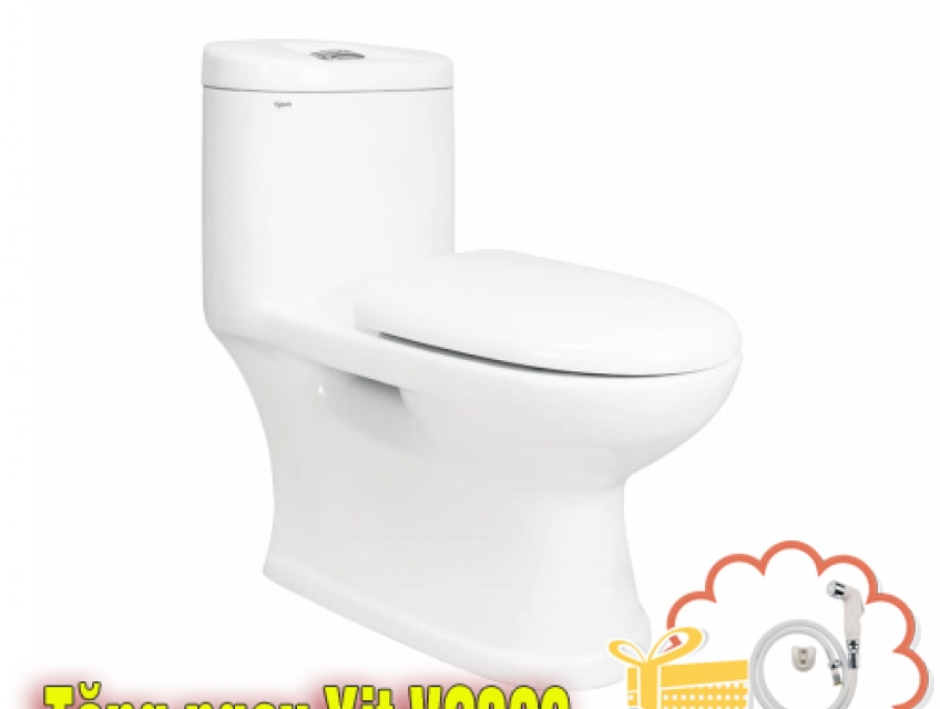 Bồn cầu két liền Viglacera C109 - Sự bền bỉ theo thời gian