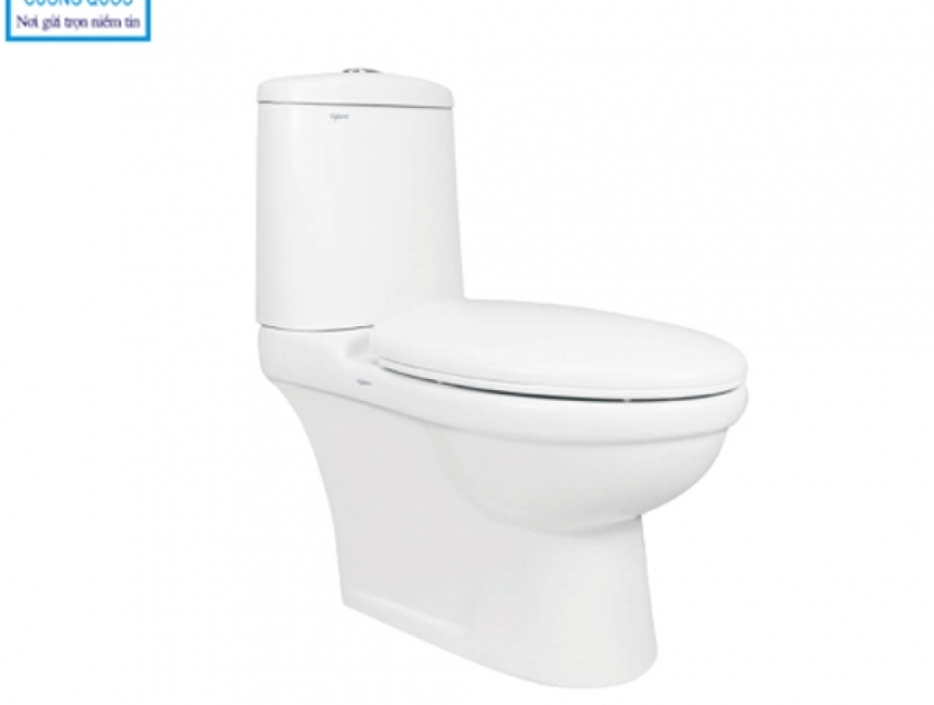 Bồn cầu két rời Viglacera VI107 - Sản phẩm kinh tế