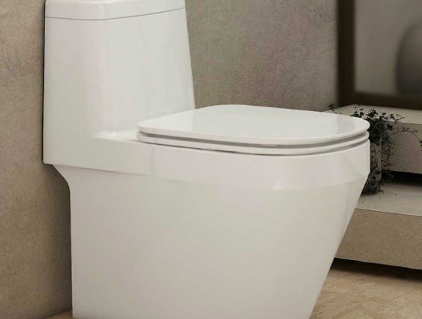 Bồn cầu két liền Viglacera V68 - Sự bền bỉ theo thời gian.