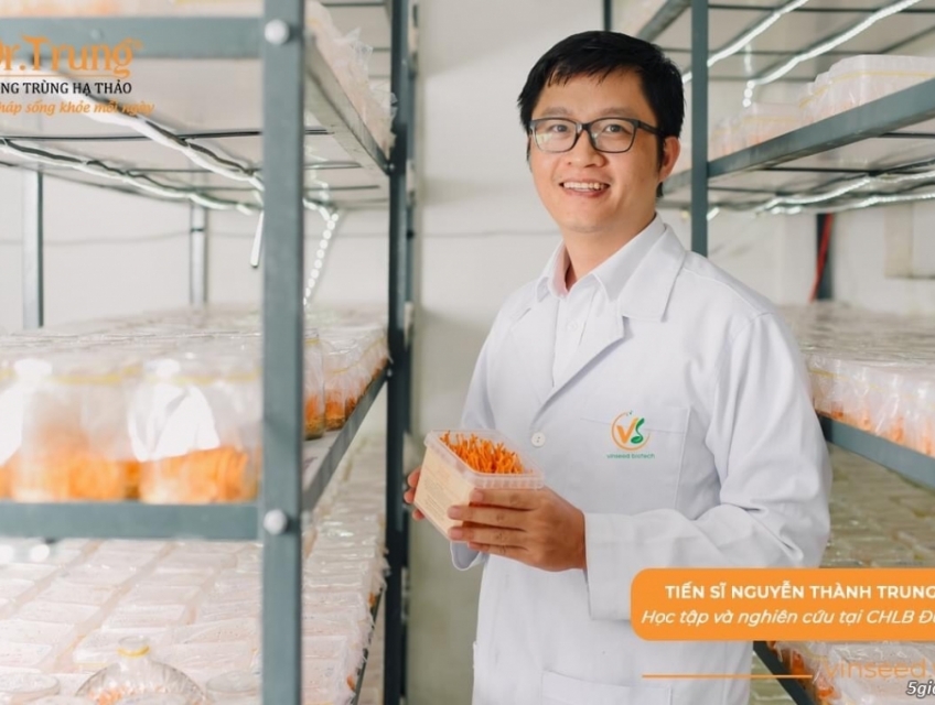 Địa chỉ mua đông trùng hạ thảo Đà Nẵng uy tín nhất