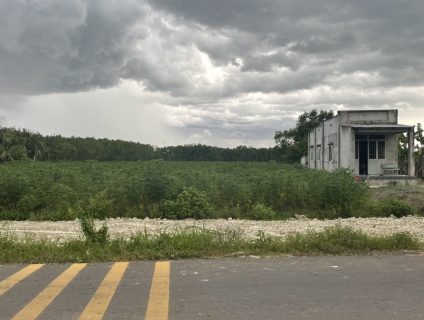 Bán đất mặt tiền DT 796, Ấp Trà Sim, Ninh Điền, H.Châu Thành, Tây Ninh