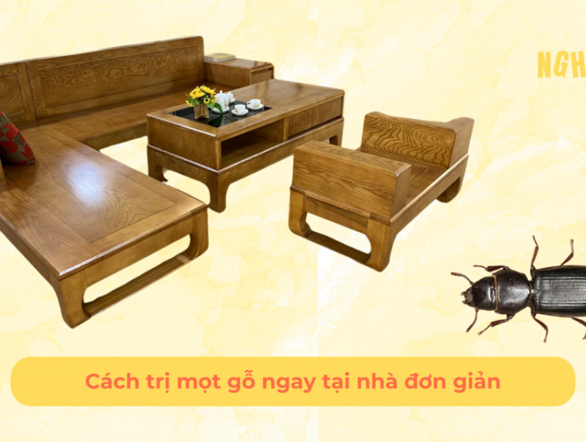 Giá như bạn biết 3 cách trị mọt gỗ tại nhà đơn giản này sớm hơn