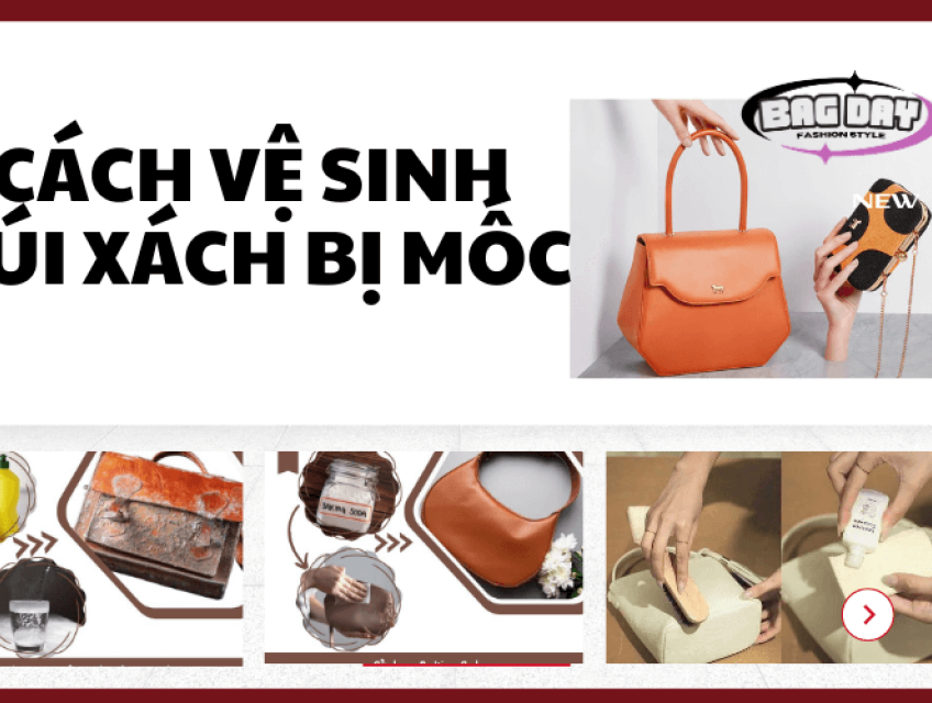 [MẸO] 3 cách vệ sinh túi xách bị mốc