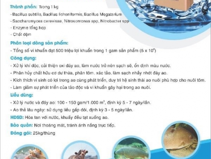 Men vi sinh xử lý đáy ao và hạ khí độc vượt trội