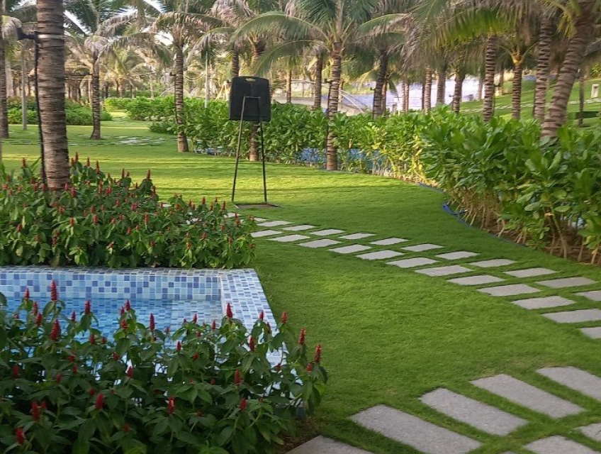 CHÍNH CHỦ CHO THUÊ CĂN HỘ KHÁCH SẠN TÒA LIGH TẠI KHU NGHỈ DƯỠNG CAO