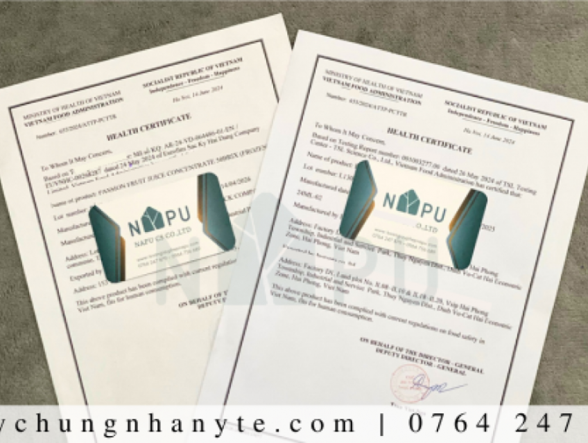 Tư vấn giấy phép xuất nhập khẩu