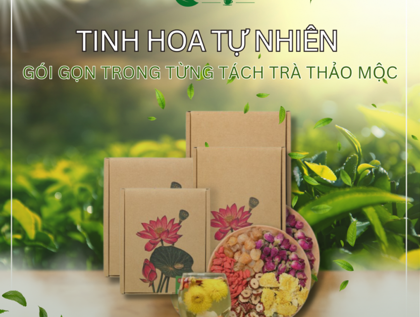Cách pha trà hoa cúc táo đỏ ngon tuyệt