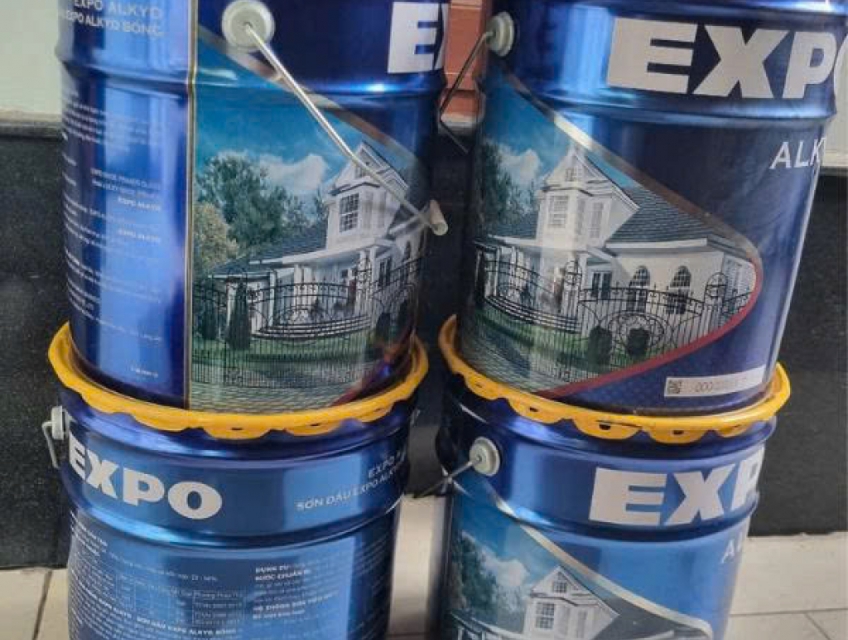 Công Ty Sơn Dầu Expo Cho Sắt: Bảo Vệ Sắt Tối Đa