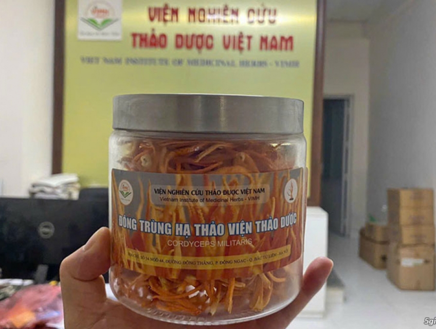 Bảo Vệ Sức Khỏe Với Đông Trùng Hạ Thảo Viện Thảo Dược