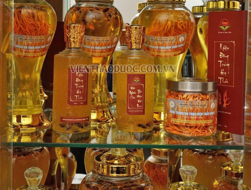Rượu Đông trùng hạ thảo Viện Nghiên cứu Thảo Dược Việt Nam