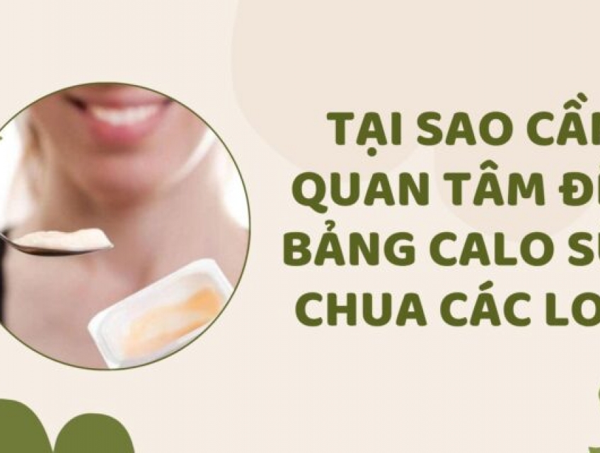 1 Số Lưu Ý Về Bảng Calo Sữa Chua Các Loại Nên Biết