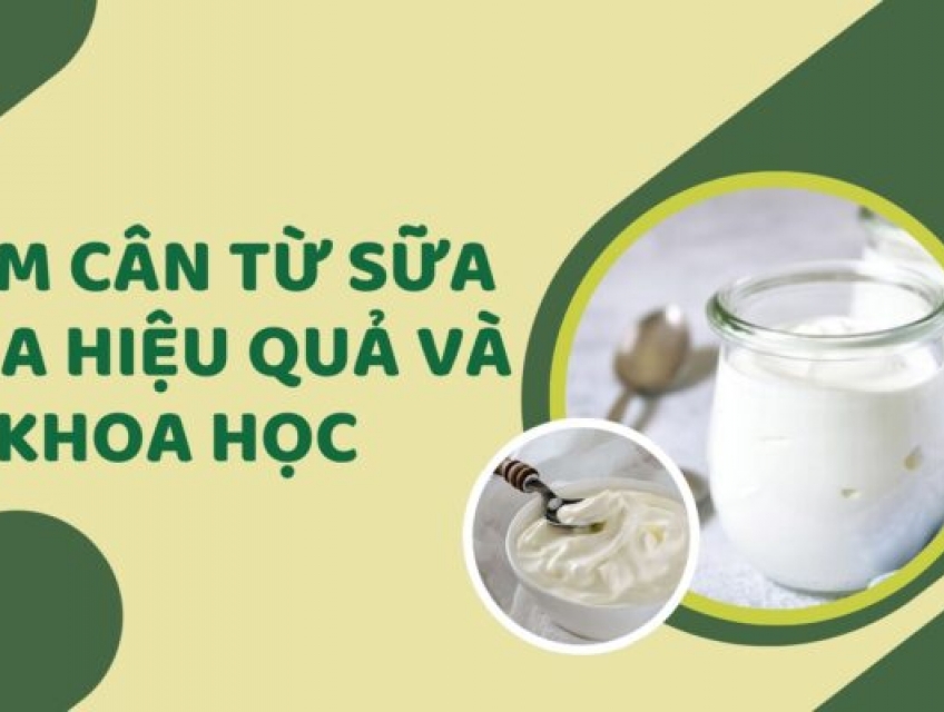 1 Số Hiệu Quả Giảm Cân Từ Sữa Chua Ít Đường Mỗi Ngày
