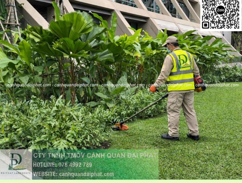 BÁO GIÁ CẮT CỎ – DỌN DẸP VỆ SINH CẢNH QUAN ĐỒNG NAI