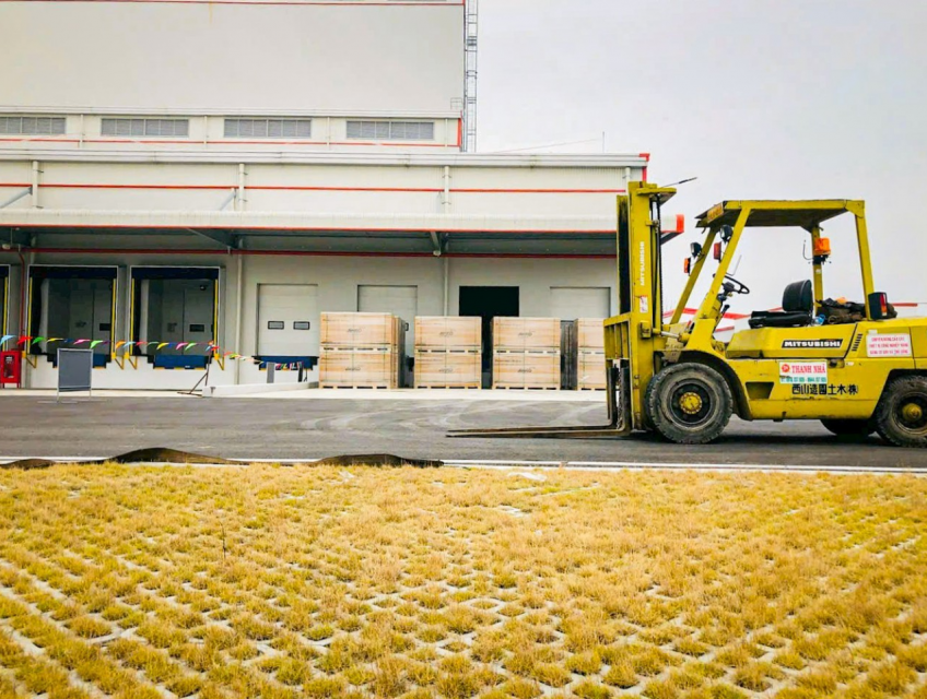 Dịch vụ cho thuê xe nâng hàng giá rẻ tại TP.HCM