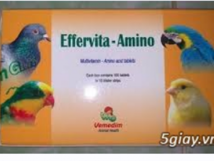 Sản phẩm CHUYÊN cho chăm sóc sức khỏe CHIM CẢNH, GÀ ĐÁ, GÀ MÁI GIỐNG của bạn !!